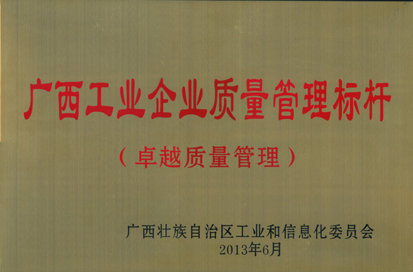 2013年6月廣西工業(yè)企業(yè)質(zhì)量管